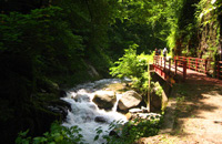 ▲Jintsu-kyo Gorge Trail