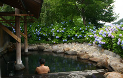 ▲The view of hydrangea makes the bathing experience even more special