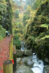 ▲秋季神通峽 神通峽橋 ▲秋の神通峡 神通峡橋